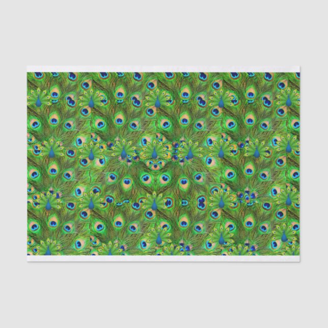 Papier Mousseline Peacock Feathers Tissue giftwrap (Recto)