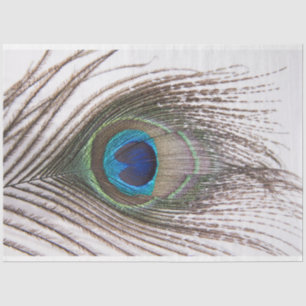 Papier Mousseline Peacock Feed 3 Decoupage Tissu Papier