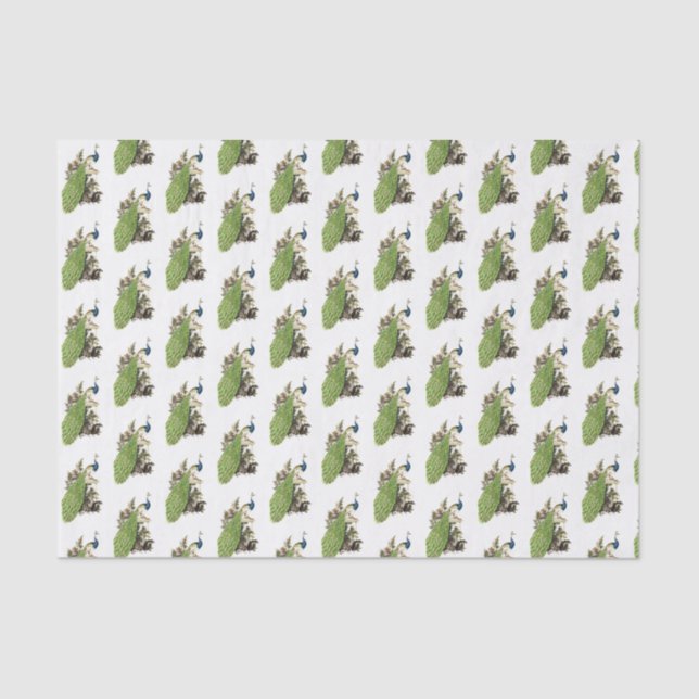 Papier Mousseline Peacock Stylisé vintage sur une branche (Recto)