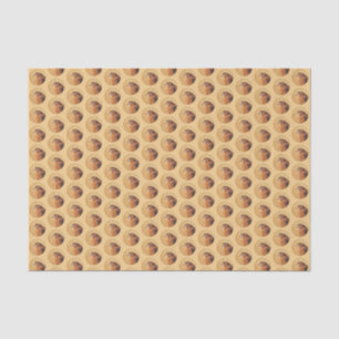Papier Mousseline Peinture américaine Kestrel - Art original pour oi