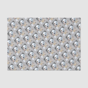 Papier Mousseline Peinture de l'espagne de combre - jolie art origin
