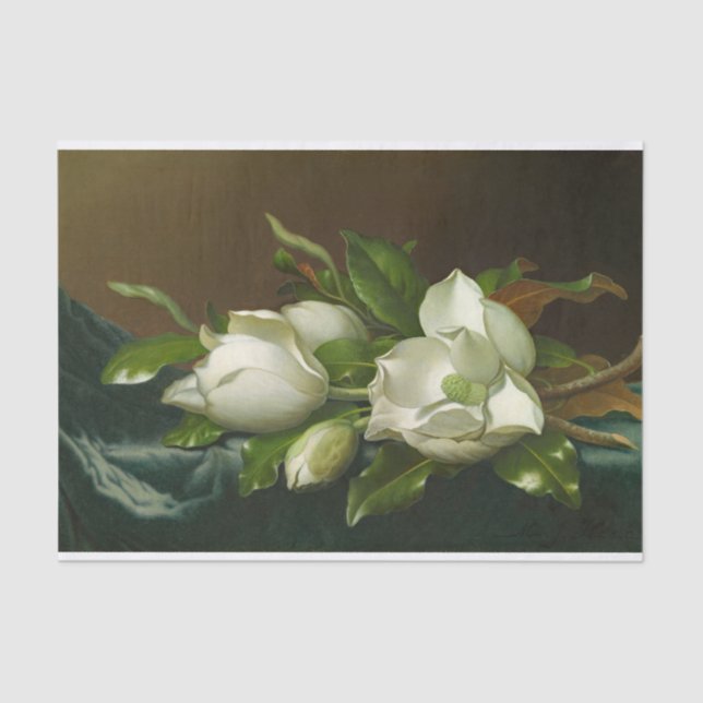 Papier Mousseline Peinture florale de Heade Magnolias (Recto)
