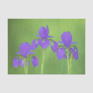Papier Mousseline Peinture Iris Violet - Art Fleur Originale
