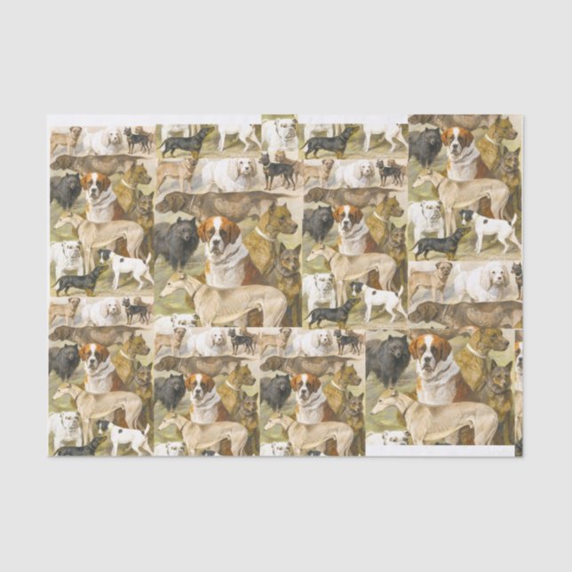 Papier Mousseline peinture vintage pour chiens (Recto)