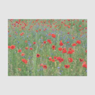 Papier Mousseline Pépites dans un Cornfield