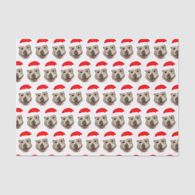 Papier Mousseline Père Noël Buddy (Recto)