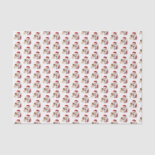 Papier Mousseline Père Noël et Sheltie