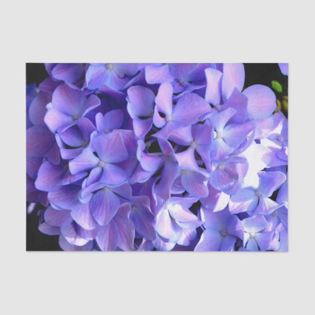 Papier Mousseline Périwinkel hydrangeas fleurs violettes fleurs bleu (Recto)