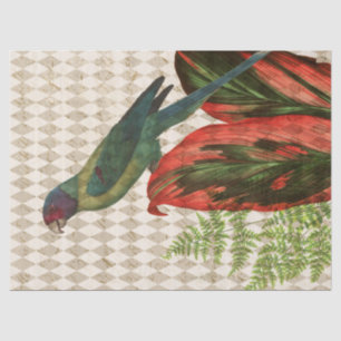 Papier Mousseline Perroquet coloré avec Découpage Feuille rouge