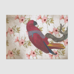Papier Mousseline Perroquet rouge floral