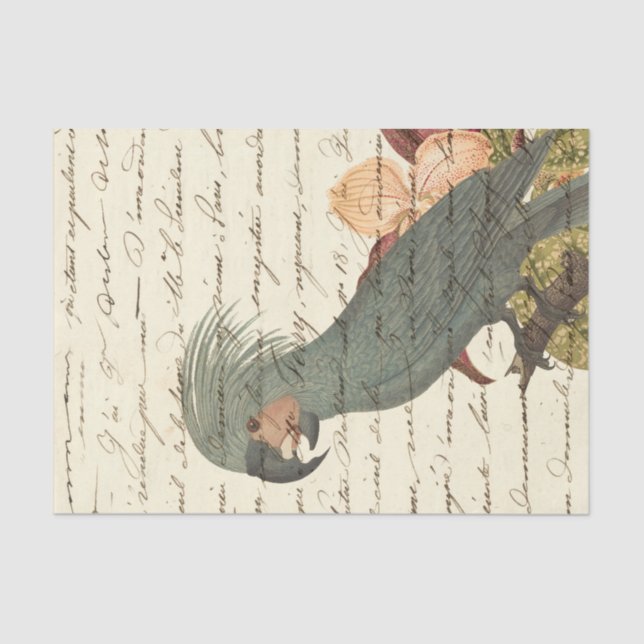 Papier Mousseline Perroquet tropical vintage (Recto)