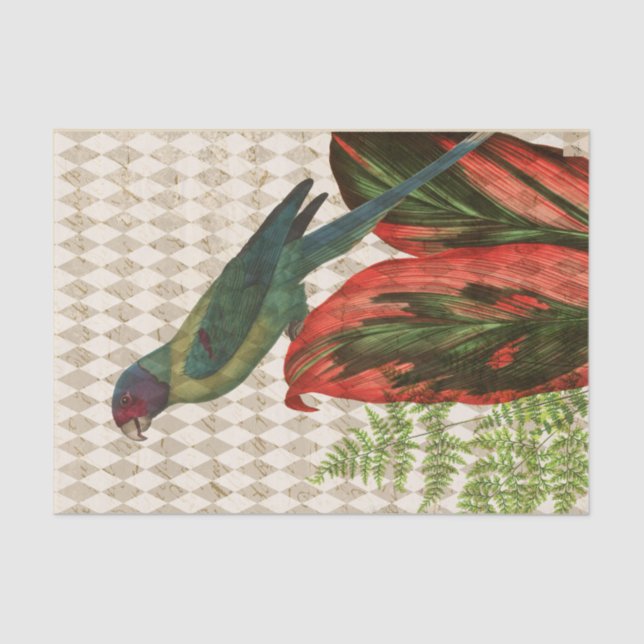 Papier Mousseline Perroquet tropical vintage rouge et vert (Recto)
