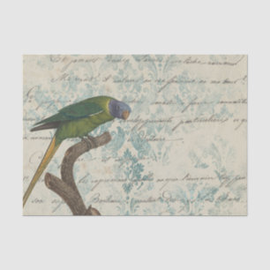 Papier Mousseline Perroquet vintage