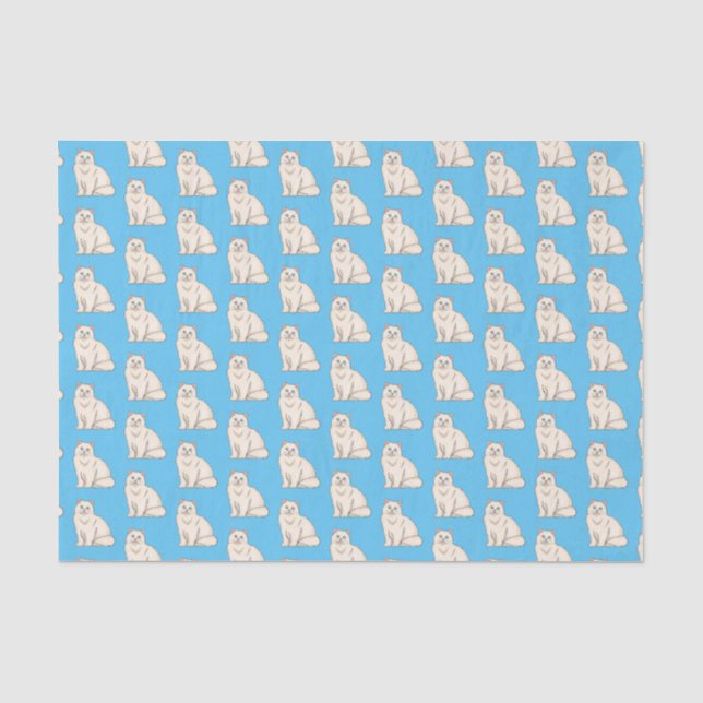 Papier Mousseline Persian cat (Recto)