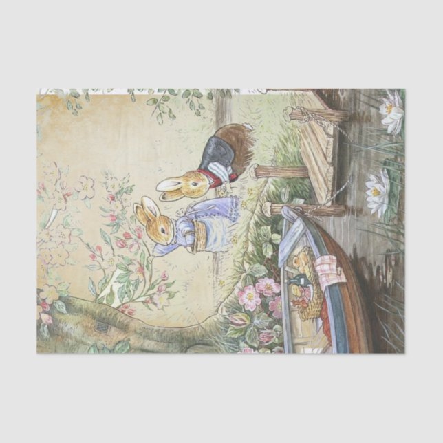 Papier Mousseline Peter Rabbit 11 (Recto)