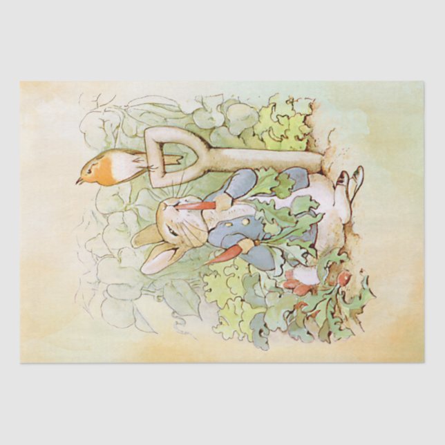 Papier Mousseline Peter Rabbit (carotte) Tissu Papier (Recto)