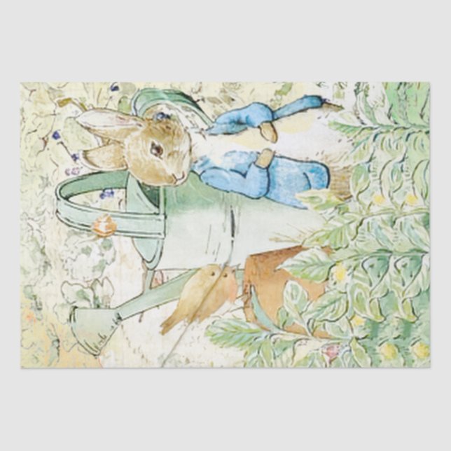 Papier Mousseline Peter Rabbit et papier de tissus d'oiseaux (Recto)