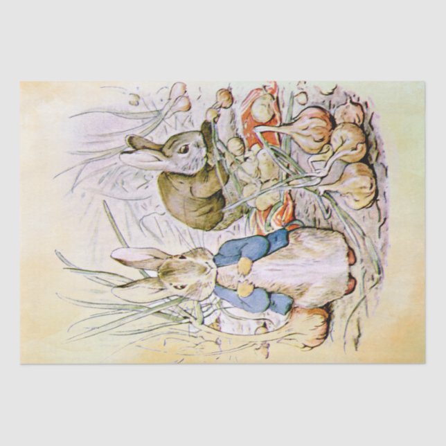 Papier Mousseline Peter Rabbit (oignon) Tissu Papier (Recto)