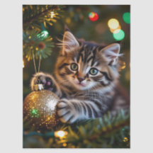 Petit chaton sur l'arbre de Noël