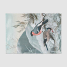 Petit oiseau mignon - Bullfinch, Art