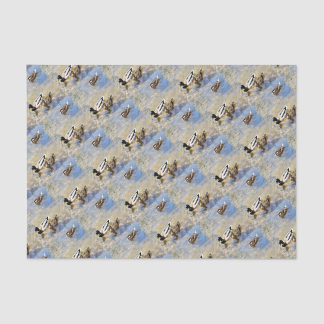 Papier Mousseline Photo Canards (Recto)