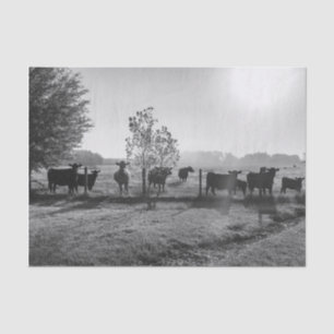 Papier Mousseline Photo de découpage des vaches de champ noir et bla