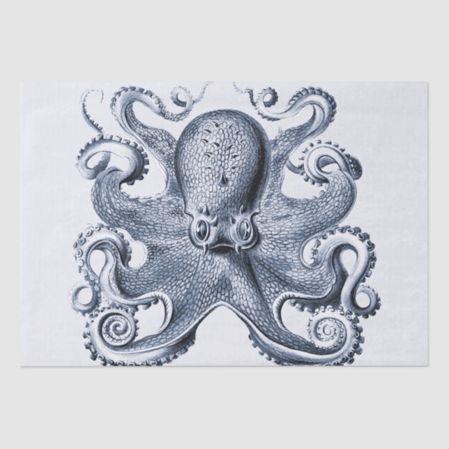 Papier Mousseline Photo de la marine Blue Octopus par Ernst Haeckel (Recto)