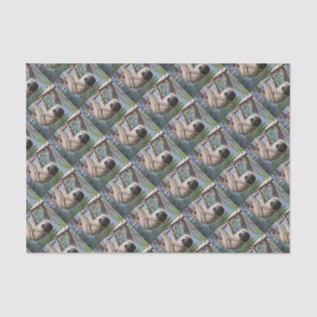 Papier Mousseline Photo de paresse (Recto)