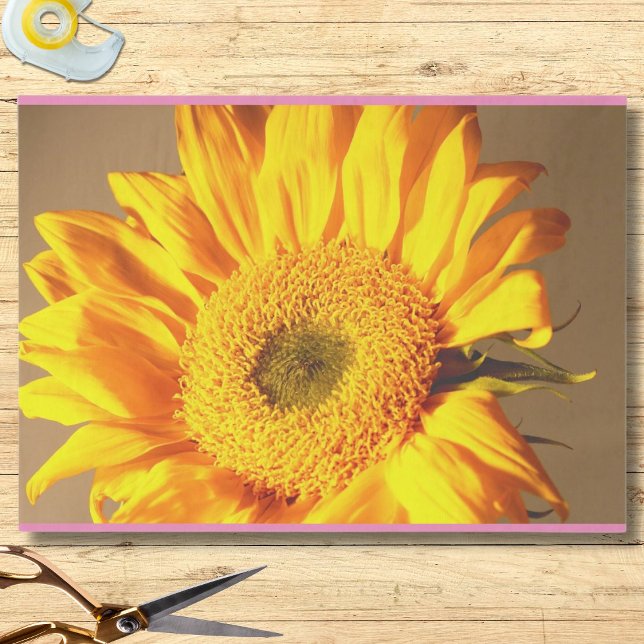 Papier Mousseline Photo de tournesol (Créateur téléchargé)