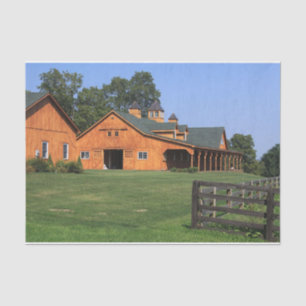 Papier Mousseline Photo Des Chevaux Parfaits sur une pelouse manucur