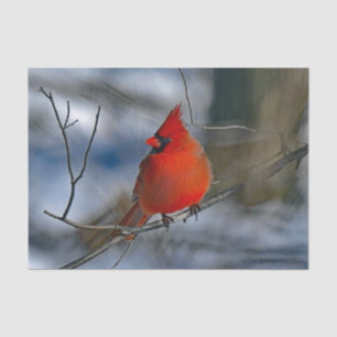 Papier Mousseline Photo du cardinal Red Winter