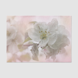 Papier Mousseline Photo en fleurs de pomme blanche