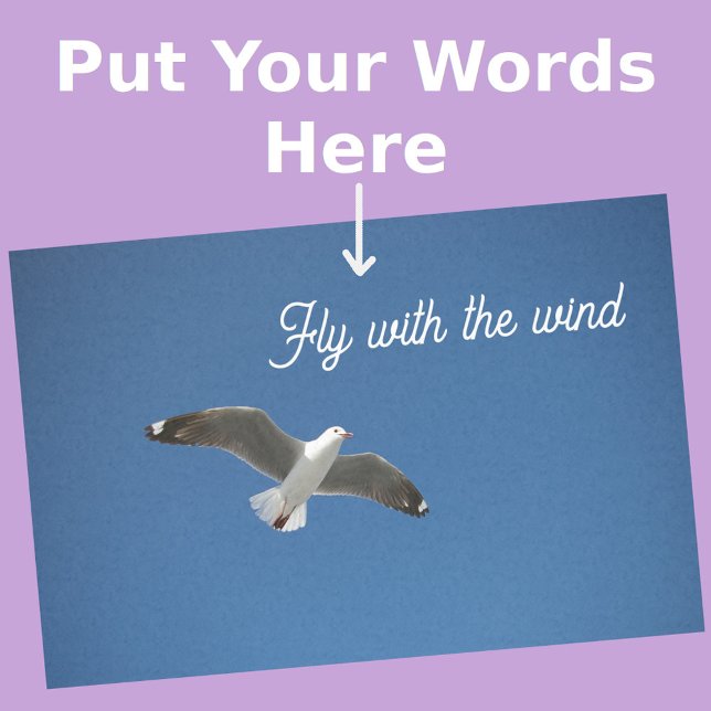 Papier Mousseline Photo Inspiration bleu gris blanc de mouette (Front View)