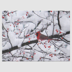 Papier Mousseline Photo Red Cardinal Snow Tree
