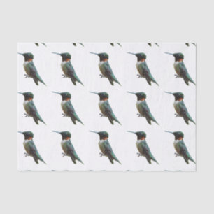 Papier Mousseline Photographie d'oiseau de colibri à gorge rubis