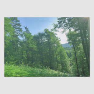 Papier Mousseline Photographie du paysage de la forêt verte