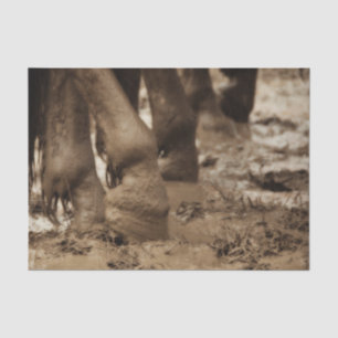 Papier Mousseline Pieds de cheval Western Vintage Sépia Brun Rustiqu