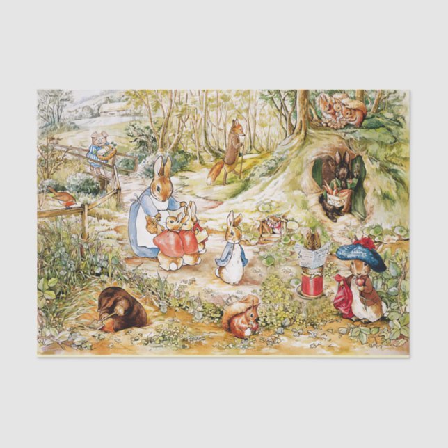 Papier Mousseline Pierre le lapin (Recto)