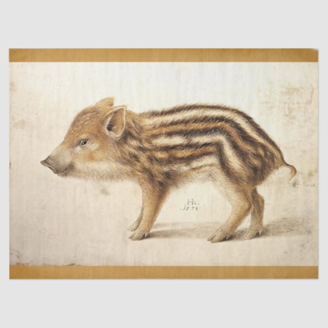Papier Mousseline PIGLET DE BARRE SAUVAGE Dessin animal antique Parc (Recto)