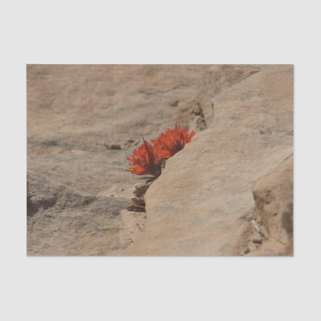 Papier Mousseline Pinceau indien en roche à Sion (Recto)