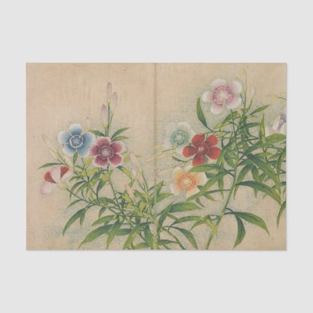 Papier Mousseline Pinks de Zhang Ruoai (Recto)
