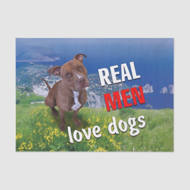 Papier Mousseline Pitbull (Recto)