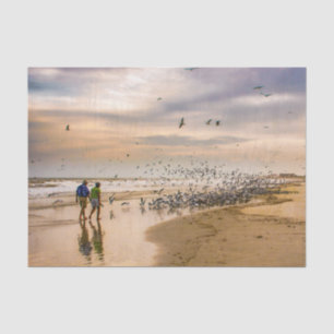 Papier Mousseline Plage de Floride au coucher du soleil - Les oiseau