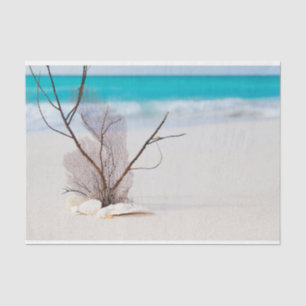 Papier Mousseline Plage de sable avec coquillages blancs