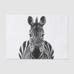 Papier Mousseline Plan de sauvegarde III