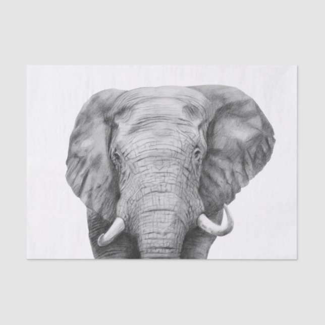 Papier Mousseline Plan de sauvegarde IV (Recto)