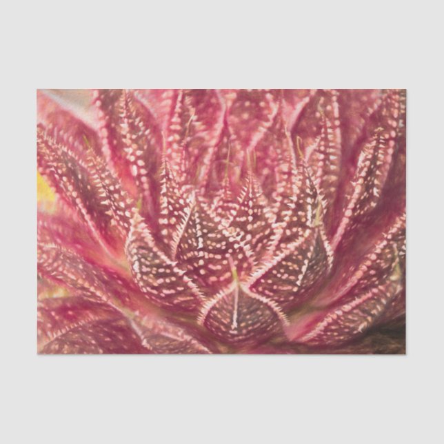 Papier Mousseline Plante de cactus succulente découpage botanique ro (Recto)