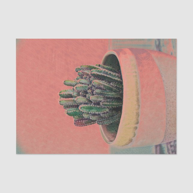 Papier Mousseline Plante de maison en pot de cactus dessin d'art col (Recto)
