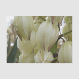 Papier Mousseline Plante de Yucca