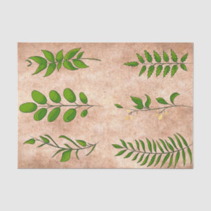 Papier Mousseline Plantes de feuillage à feuilles vertes en sépia dé